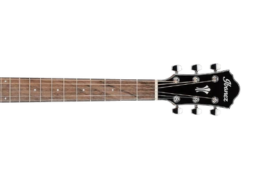 AEL30SE | Ibanez Wiki | Fandom