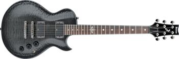 ART300 | Ibanez Wiki | Fandom