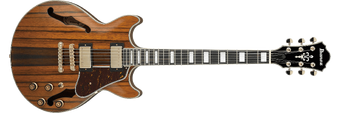 ギター Ibanez AM93ME NT Artcore Expressionist Amazon.com: Ibanez Artcore Expressionist AM93ME Semi-Hollow