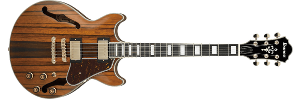 Ibanez 2021 artcore series on sale