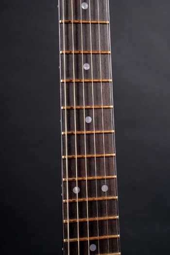 2020 - JCRG2004-S SN frets