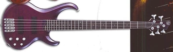 BTB405QM | Ibanez Wiki | Fandom