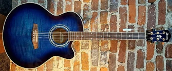 Ibanez AEL20D 2002年 USAモデル極美品 AEL20D | Ibanez Wiki | Fandom