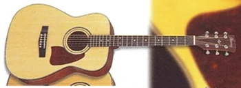 AC50 (disambiguation) | Ibanez Wiki | Fandom
