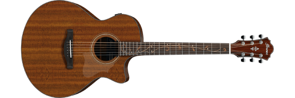 最終値下　希少　Ibanez AS-120　セミアコ □またIbanezのセミアコが我が家にやって来ました！ | その他