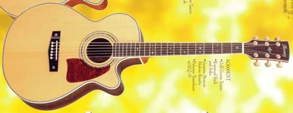AG600E | Ibanez Wiki | Fandom