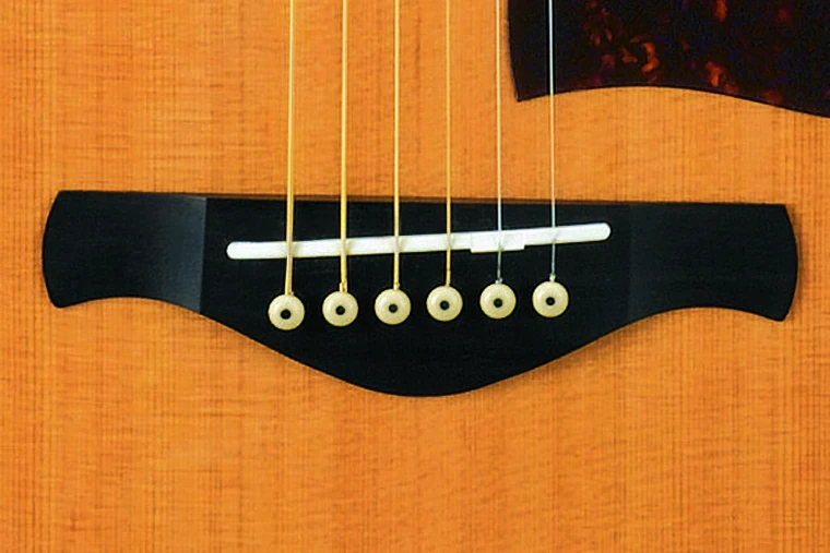 AEL30SE | Ibanez Wiki | Fandom