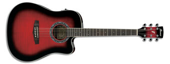 PF28ECE | Ibanez Wiki | Fandom