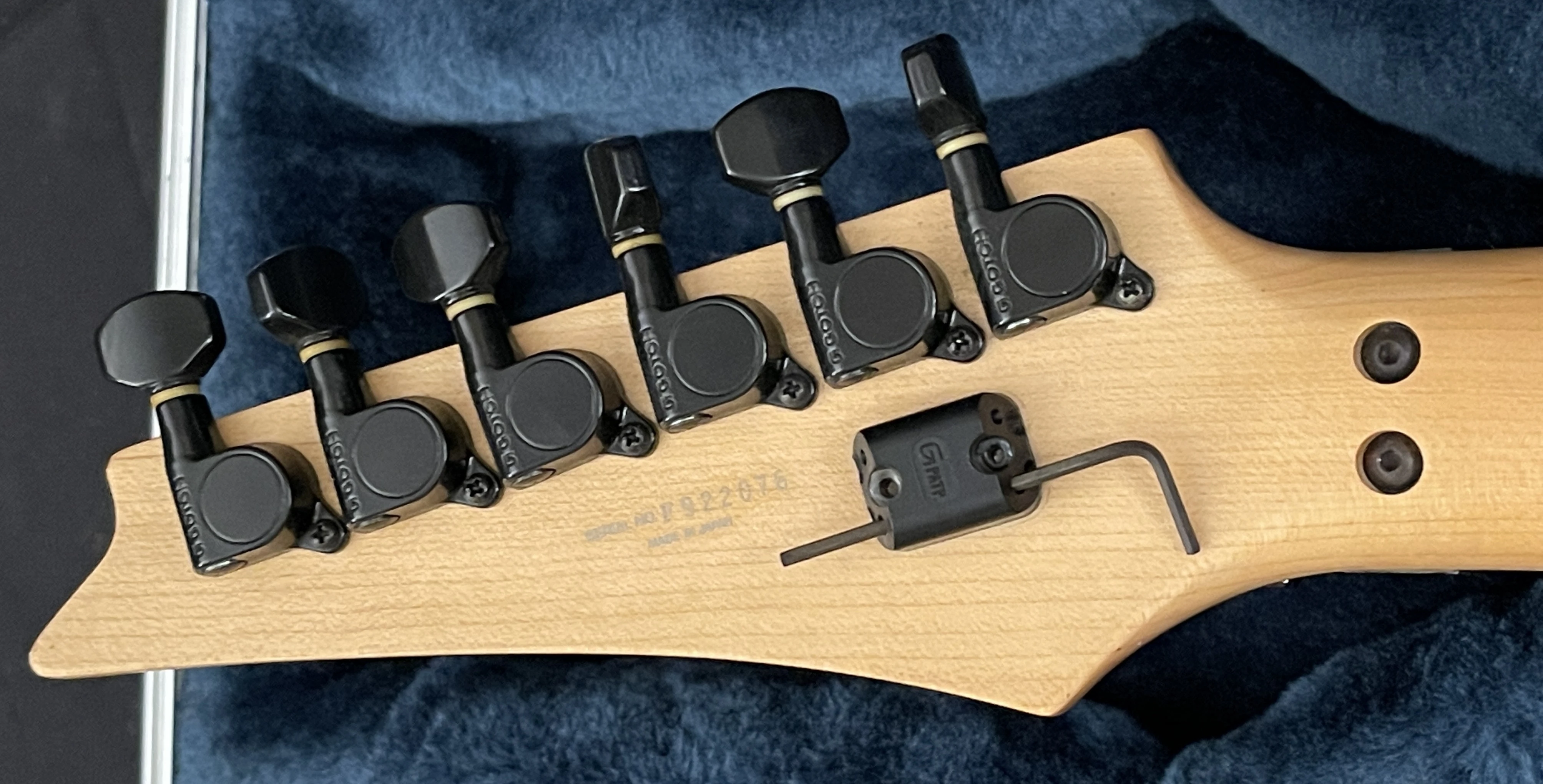 RG760 Rattle snake | Ibanez Wiki | Fandom