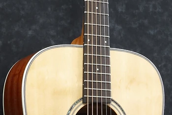 2014 AVD1 NT 12th-fret-neck-joint