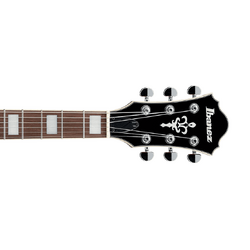 Ibanez china online