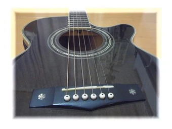 AWG1000E | Ibanez Wiki | Fandom