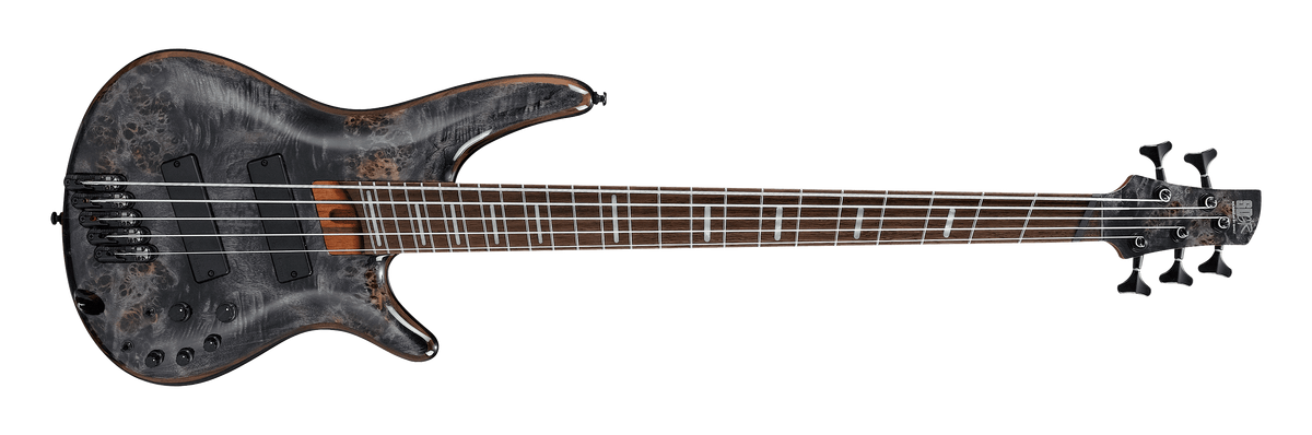 Amazon.com: Ibanez Bass Workshop SRMS805 Multi-scale 5