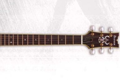 AR500 (1989–1992) | Ibanez Wiki | Fandom