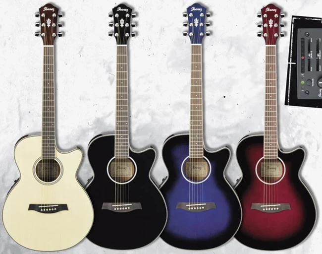 AEG9E | Ibanez Wiki | Fandom