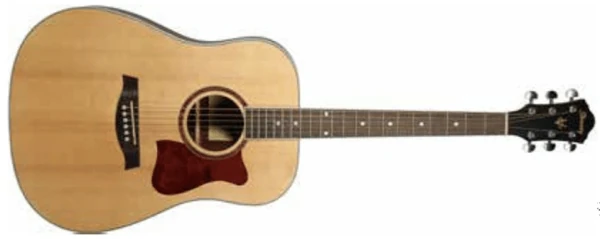 V74 | Ibanez Wiki | Fandom