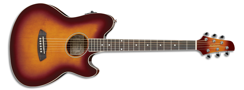 TCY10E Ibanez Wiki Fandom