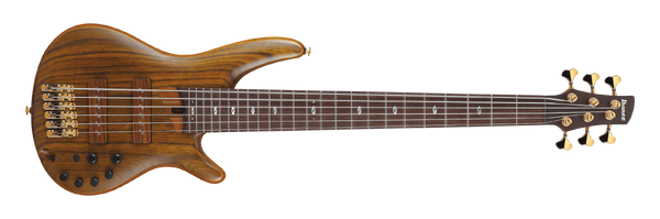 Ibanez SOUNDGEAR GSR450 虎杢シースルー Ibanez Gio GSR280QA-TYS (Transparent Yellow Sunburst