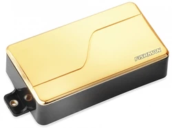 Modernhumbuckeralnicogold large