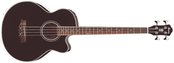 AEB10 | Ibanez Wiki | Fandom