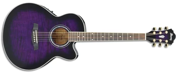 AEL20E | Ibanez Wiki | Fandom