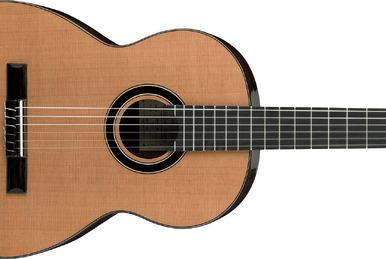 GA30 Ibanez Wiki Fandom