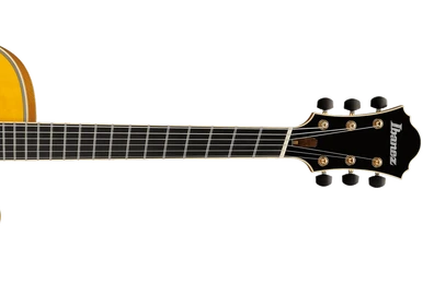 XP300 | Ibanez Wiki | Fandom
