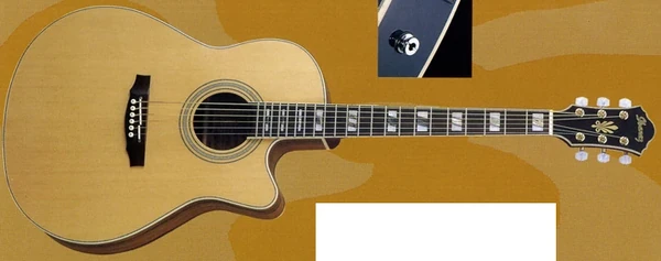 Ibanez エレアコ　AEL60SE-NT-3T-01 Ibanez 【AEL60SE-NT-3T-01】 | D-plus-stock