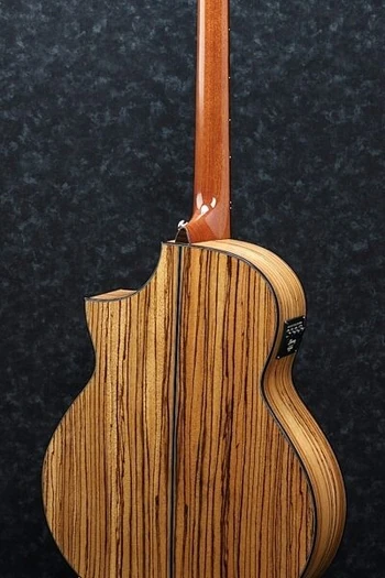 2016 AEW23ZWNT Body Back