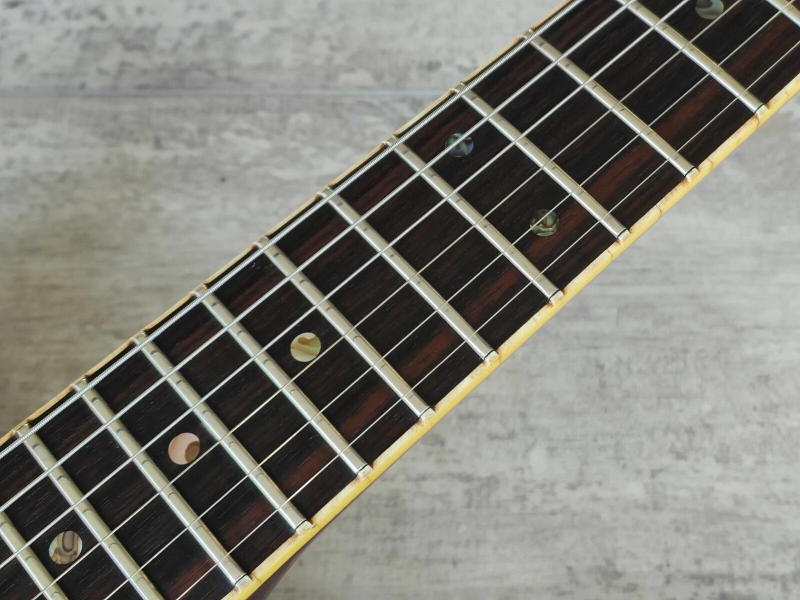 2629 | Ibanez Wiki | Fandom