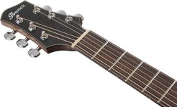 PA300E Headstock.jpg