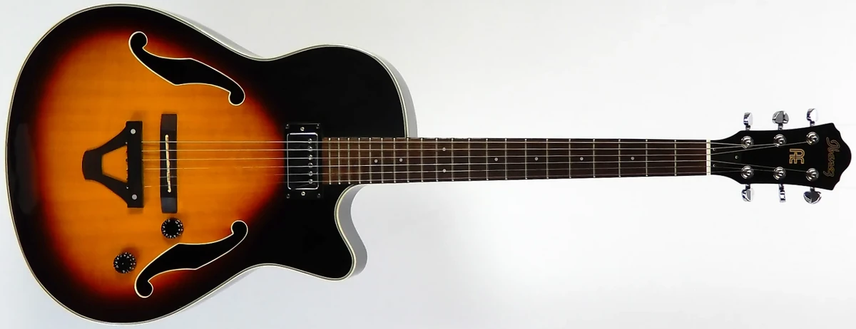 その他 THE ENCYCLEOPEDIA JAZZ GUITAR THE ENCYCLOPEDIA OF JAZZ GUITAR