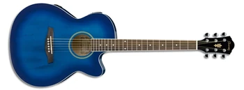 AEG5EJP | Ibanez Wiki | Fandom