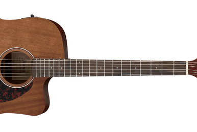 Ibanez pf30 2025