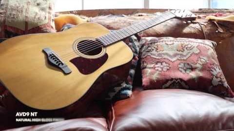 Ibanez avd9 cheap