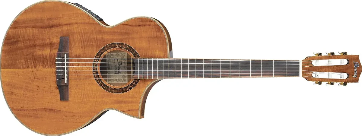 EWN28KOE | Ibanez Wiki | Fandom