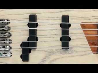 SR2010ASC | Ibanez Wiki | Fandom