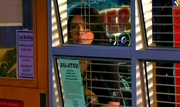 IOMG4.png