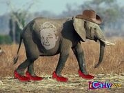 Gibbyonelephant