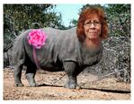 Briggs Rhinocerous