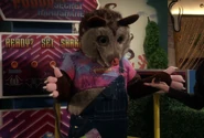 Possum Secret Handshake.png (1.61 MB)