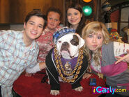 The iCarly Crew with Gibby and Grubbles