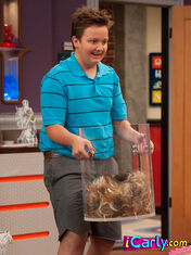 Gibbypic.jpg