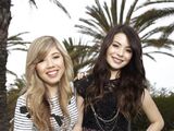 Minnette