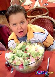 Gibby and salad.jpg