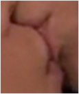 Creddie lips close-up