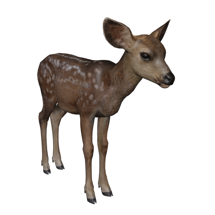 Baby Deer | Icarus Wiki | Fandom Baby Deer | Icarus Wiki | Fandom