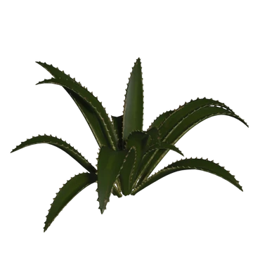 Aloe Vera | Icarus Wiki | Fandom