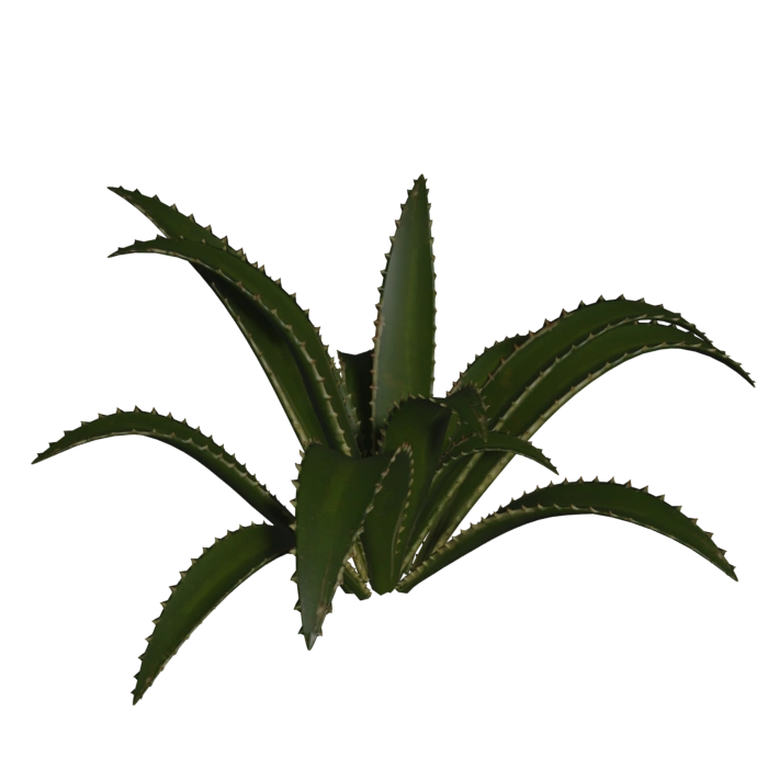 aloe vera gel ekzem Soothing Aloe Vera Gel for Irritated Skin – DERMOIA main image 1