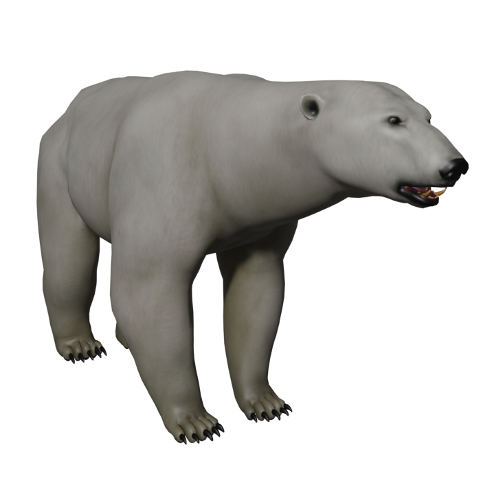Polar Bear | Icarus Wiki | Fandom